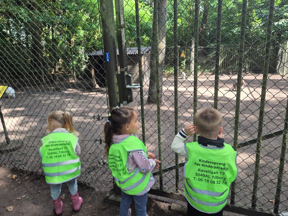 Bij de kinderboerderij