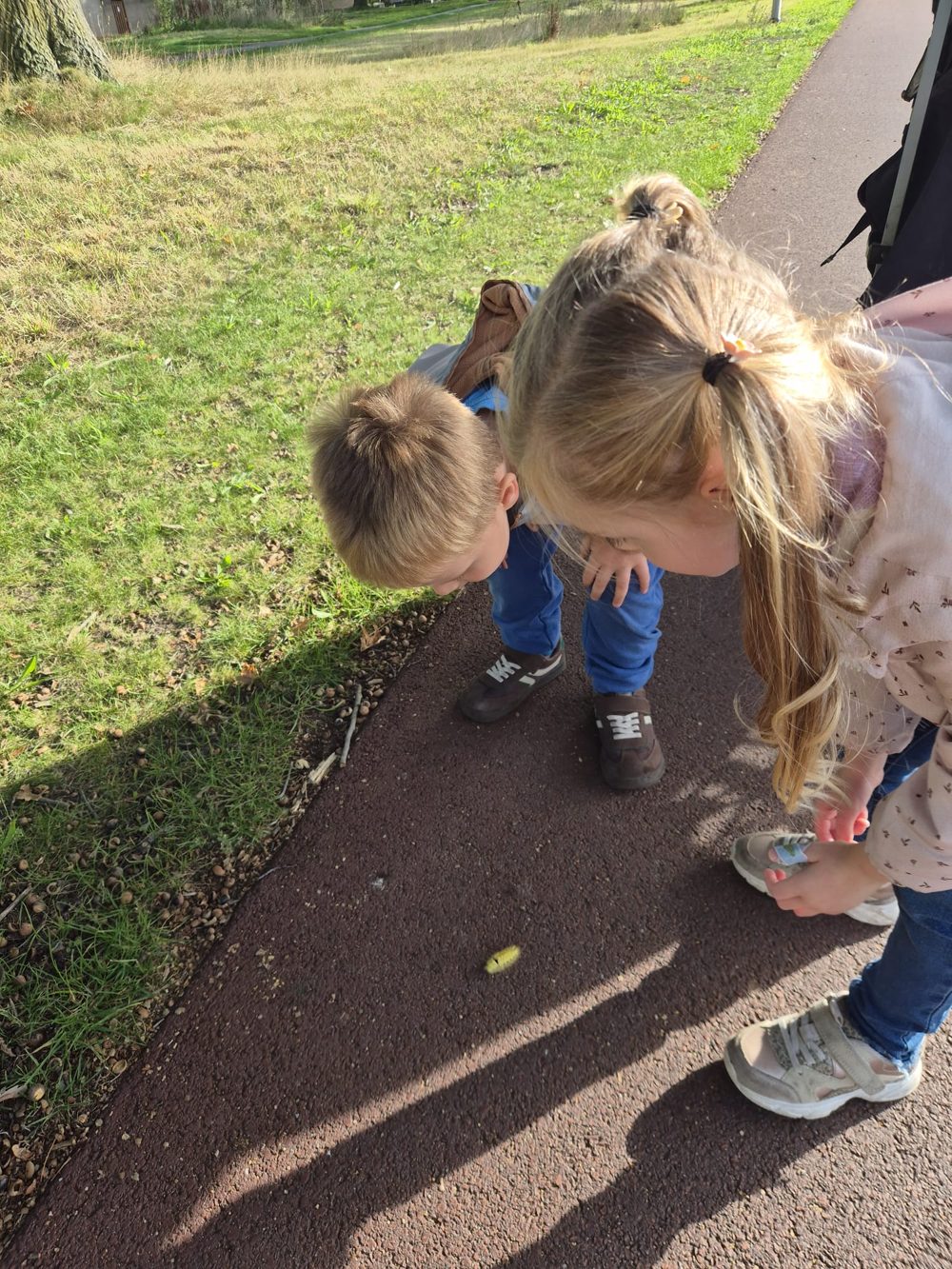 Kinderen bekijken een grote rups op het pad
