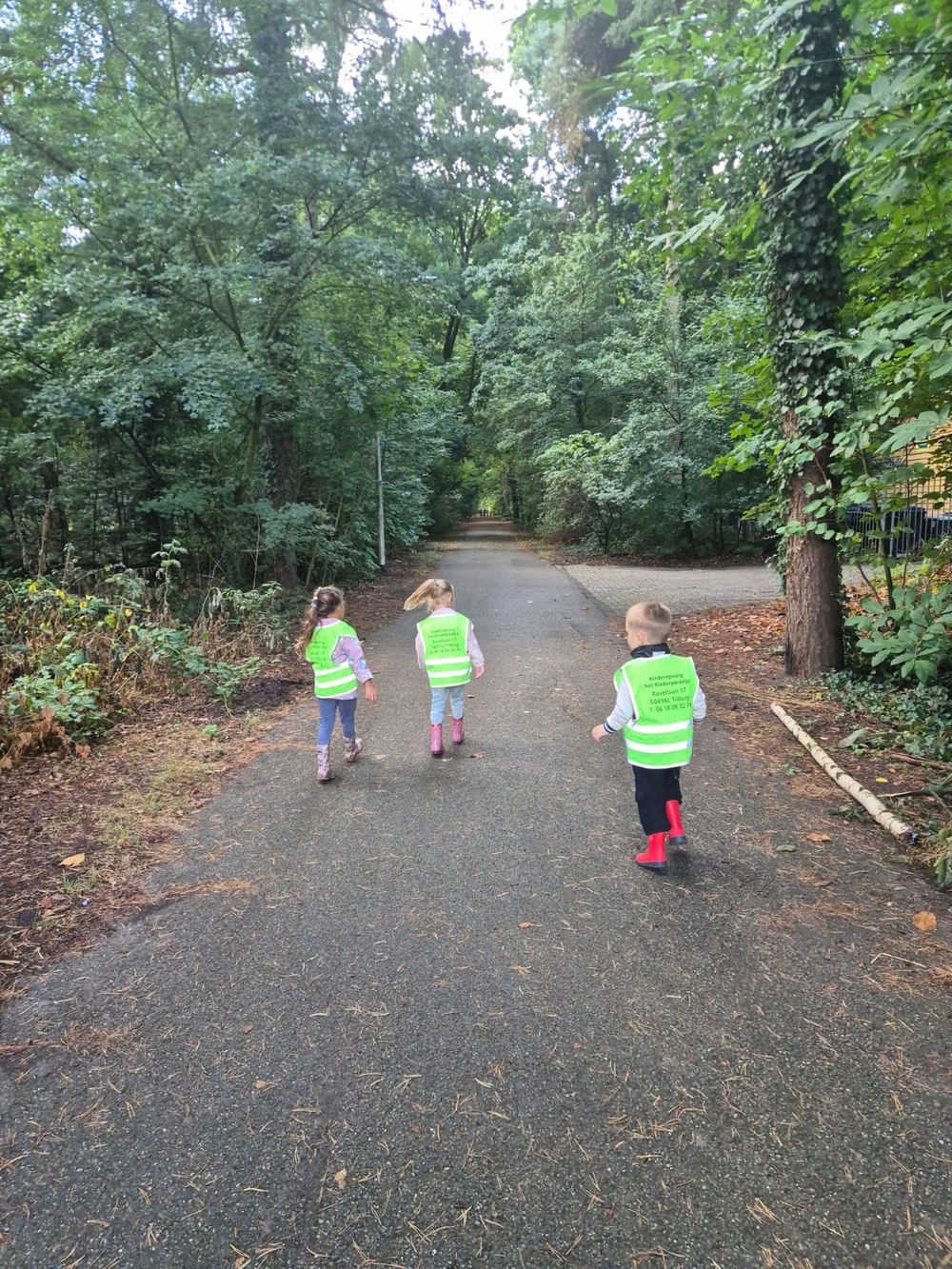 Wandelen in het bos